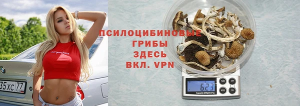 синтетический гашиш Алексин