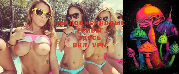 синтетический гашиш Пролетарск