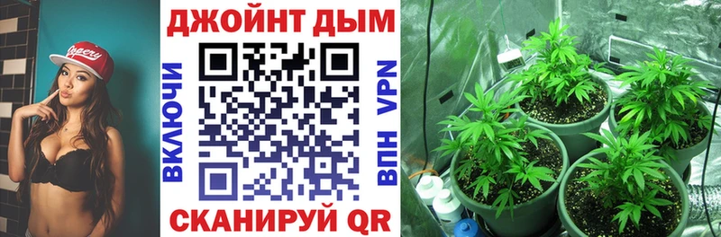 где можно купить наркотик  Мосальск  нарко площадка какой сайт  Каннабис SATIVA & INDICA 